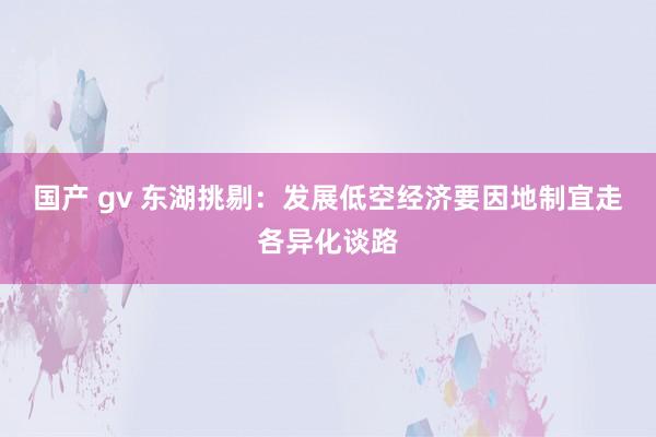 国产 gv 东湖挑剔：发展低空经济要因地制宜走各异化谈路