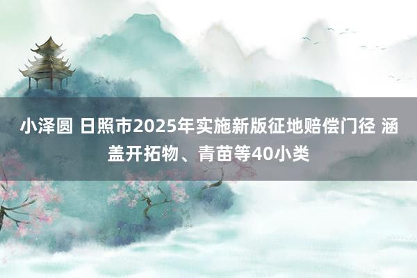 小泽圆 日照市2025年实施新版征地赔偿门径 涵盖开拓物、青苗等40小类