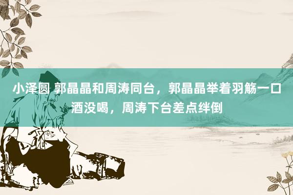 小泽圆 郭晶晶和周涛同台，郭晶晶举着羽觞一口酒没喝，周涛下台差点绊倒
