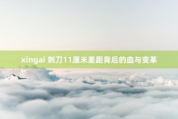 xingai 刺刀11厘米差距背后的血与变革