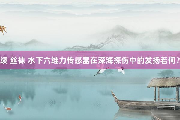 绫 丝袜 水下六维力传感器在深海探伤中的发扬若何？