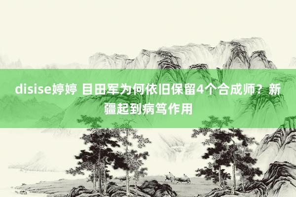 disise婷婷 目田军为何依旧保留4个合成师？新疆起到病笃作用