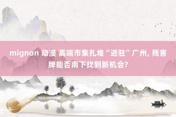 mignon 动漫 高端市集扎堆“进驻”广州， 残害牌能否南下找到新机会?
