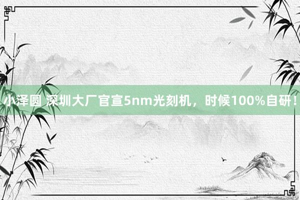 小泽圆 深圳大厂官宣5nm光刻机，时候100%自研！
