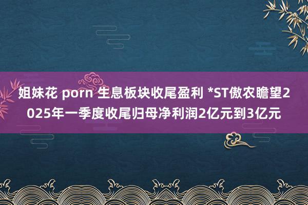 姐妹花 porn 生息板块收尾盈利 *ST傲农瞻望2025年一季度收尾归母净利润2亿元到3亿元