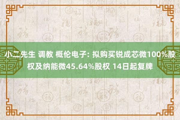 小二先生 调教 概伦电子: 拟购买锐成芯微100%股权及纳能微45.64%股权 14日起复牌