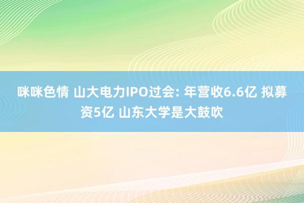 咪咪色情 山大电力IPO过会: 年营收6.6亿 拟募资5亿 山东大学是大鼓吹