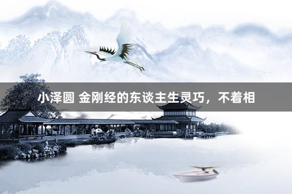小泽圆 金刚经的东谈主生灵巧，不着相