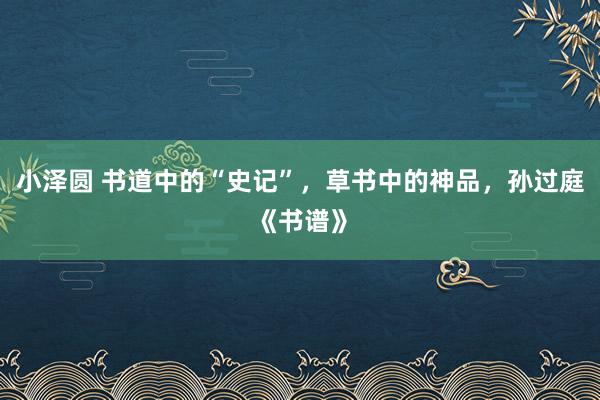 小泽圆 书道中的“史记”，草书中的神品，孙过庭《书谱》