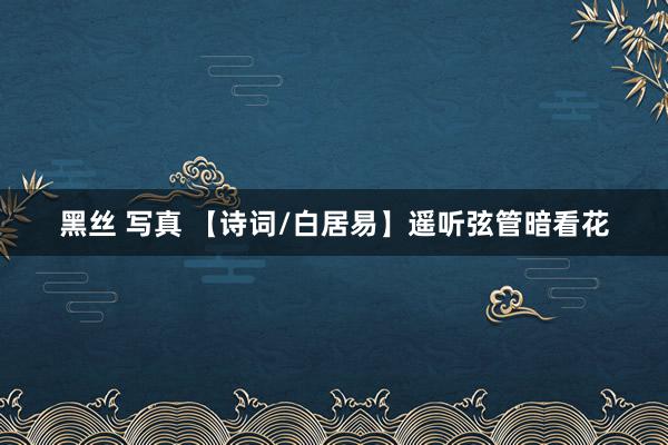 黑丝 写真 【诗词/白居易】遥听弦管暗看花