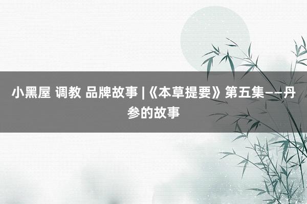 小黑屋 调教 品牌故事 |《本草提要》第五集——丹参的故事