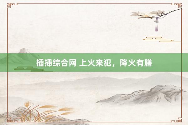 插揷综合网 上火来犯，降火有膳